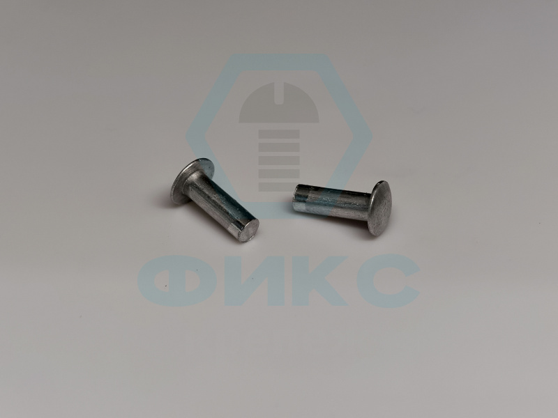 Заклепка ГОСТ 10299-80 2х10 алюминий