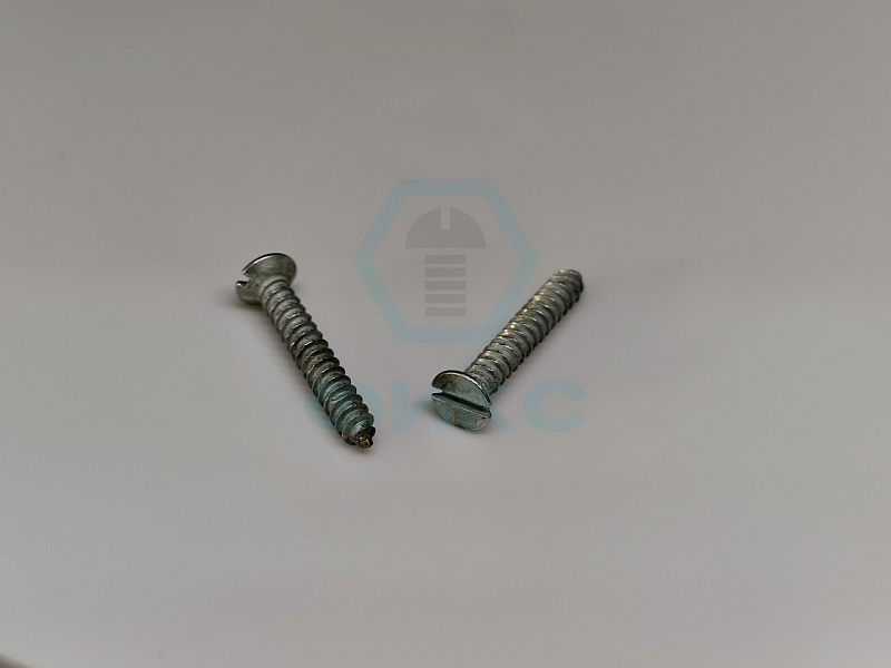 Шуруп ГОСТ 1145-80 3х10 сталь цинк белый исп.2